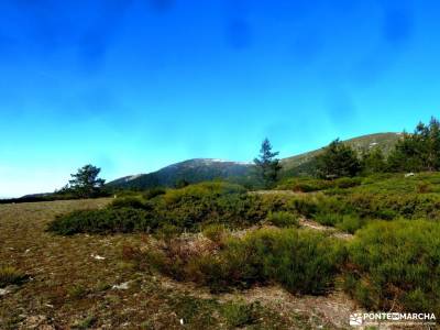 Loma del Noruego y Pinares de Valsaín;nacimiento del cuervo madrid en el puente de diciembre sender